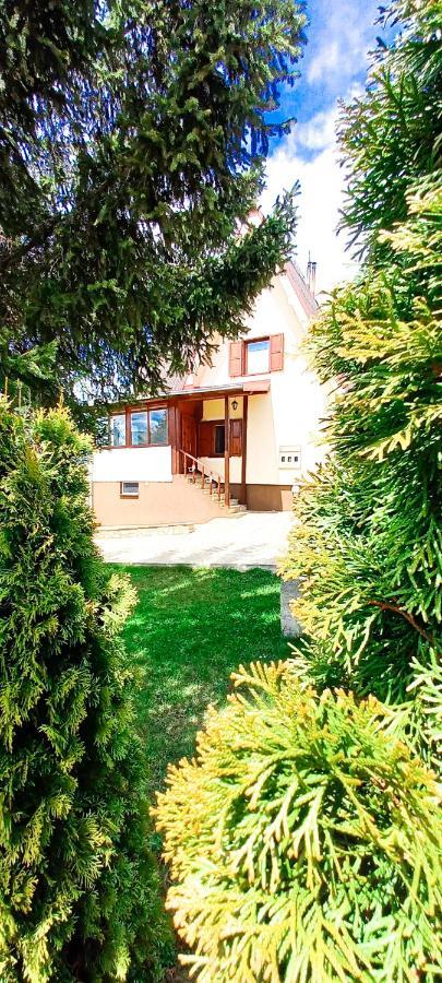 Apartment Relja Zlatibor Zewnętrze zdjęcie